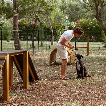Villaggio Camping Spiaggia Lunga Βιέστε Εξωτερικό φωτογραφία